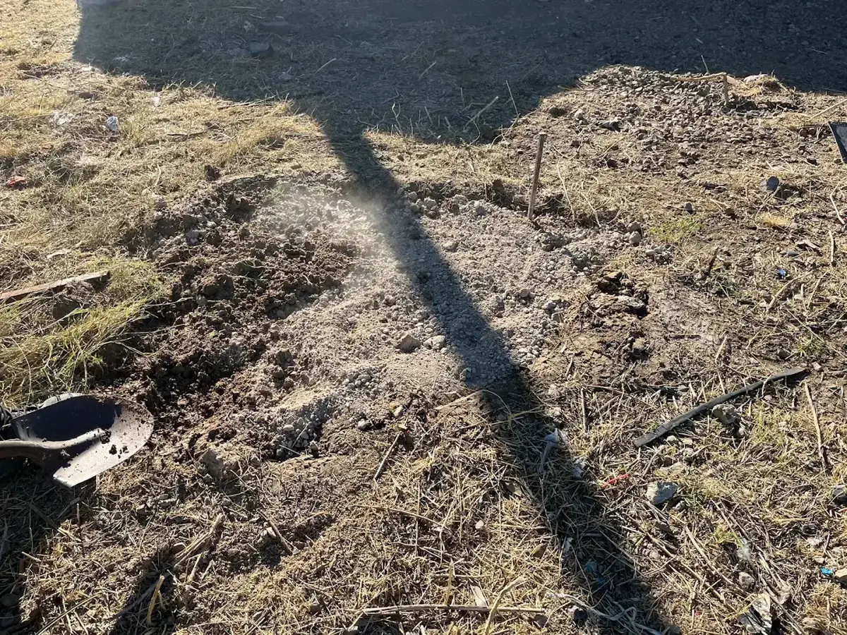 Before: overgrown yard with dry weeds and debris